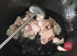 白菜猪肉炖粉条的做法图解5