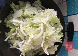 白菜猪肉炖粉条的做法图解8