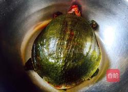 红焖甲鱼的做法图解1