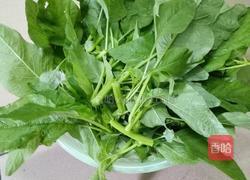 素炒苋菜的做法图解2