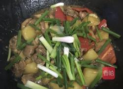 土豆焖鸡的做法图解12