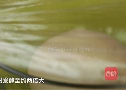海苔肉松手撕包的做法图解5