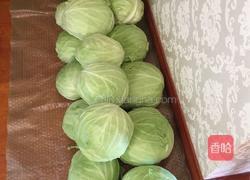 圆白菜酸菜的做法图解1