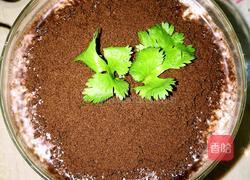 奥利奥盆栽酸奶的做法图解5