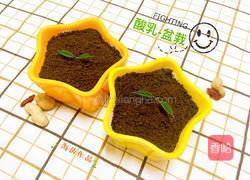 酸奶盆栽的做法图解6