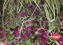 蒜蓉苋菜的做法图解1