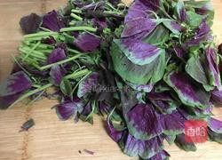 蒜蓉苋菜的做法图解4