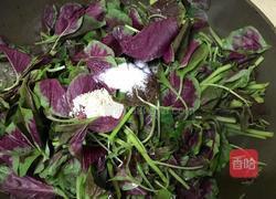 蒜蓉苋菜的做法图解8