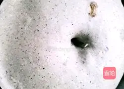 Black Butterfly Multigrain Nut Toast (Blackcurrant Butterfly Pea Multigrain Nut Toast) Recipe Illustration 6