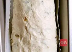 Black Butterfly Multigrain Nut Toast (Blackcurrant Butterfly Pea Multigrain Nut Toast) Recipe Illustration 8