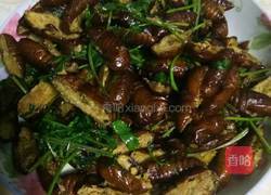 干煸蝉蛹的做法图解6
