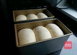 牛奶蛋黄吐司的做法图解11