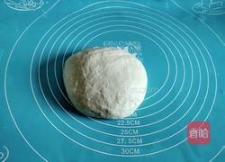 猪肉煎饺的做法图解2