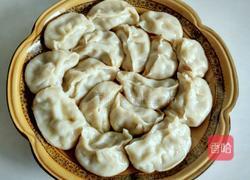 猪肉煎饺的做法图解10