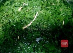 荠荠菜水饺的做法图解2