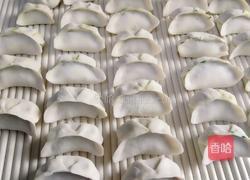 荠荠菜水饺的做法图解4