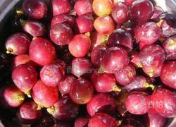 自制葡萄酒的做法图解4