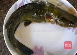 清蒸黄刺鱼的做法图解2