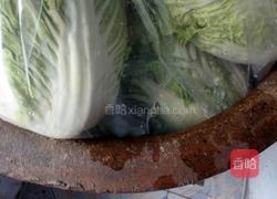 东北腌酸菜的做法的做法图解12