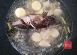 黄骨鱼嫩汤的做法图解7