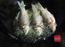 茄汁鲫鱼的做法图解2