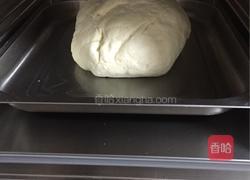 萝卜丝肉馅包子的做法图解10