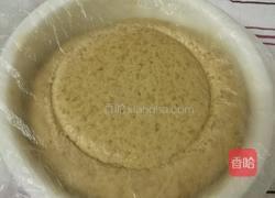 Whole Wheat Bread 全麦面包的做法图解7