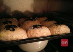 Whole Wheat Bread 全麦面包的做法图解9