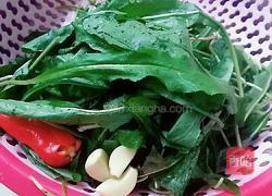 凉拌蒲公英的做法图解1