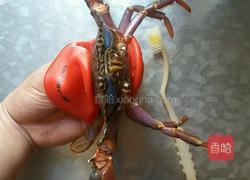 清蒸（赤甲红）螃蟹的做法图解3