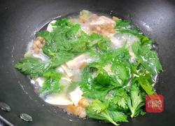 猪油渣豆腐汤的做法图解13