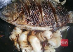 红烧罗非鱼的做法图解5