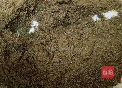 自制三黑芝麻糊的做法图解9