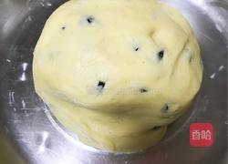 蓝莓饼干的做法图解6