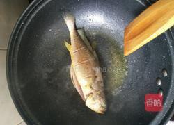 红烧黄花鱼的做法图解5
