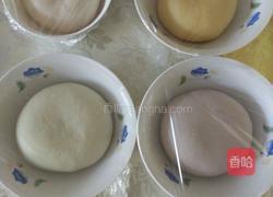 五彩水饺的做法图解3
