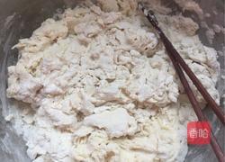 猪肉白菜什锦包的做法图解4
