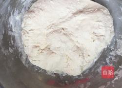 猪肉白菜什锦包的做法图解5