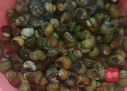 炒石螺的做法图解1