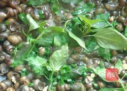 炒石螺的做法图解6