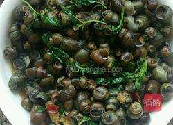 炒石螺的做法图解8