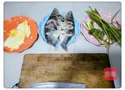 鲫鱼炖汤的做法图解6