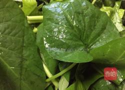 蒜香苕藤的做法图解1