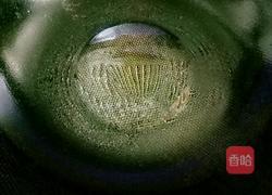 缠丝手撕饼的做法图解23