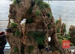 黄氏焗饭的做法图解5