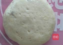驴肉饼的做法图解9