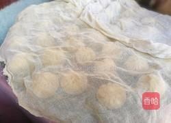 交白胡罗卜肉包的做法图解14