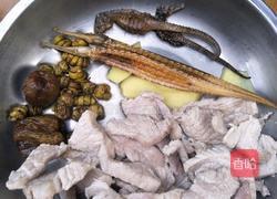 石斛海龙海马汤的做法图解4