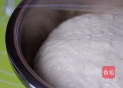 红薯餐包的做法图解5