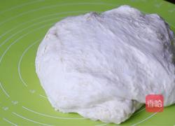 红薯餐包的做法图解6